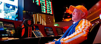 Вход на официальный сайт Casino Pautina